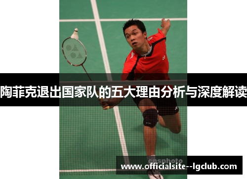 陶菲克退出国家队的五大理由分析与深度解读