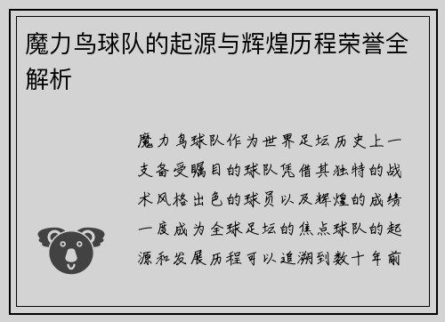 魔力鸟球队的起源与辉煌历程荣誉全解析