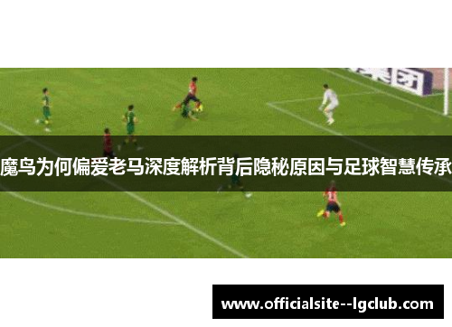 魔鸟为何偏爱老马深度解析背后隐秘原因与足球智慧传承